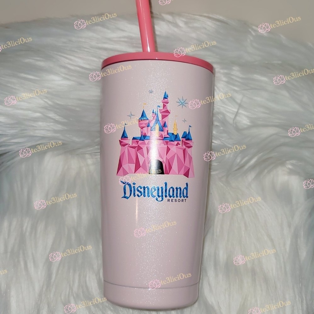 DISNEYLAND STARBUCKS CASTLE STAINLESS STEEL BOTTLE - Picture 3 of 11